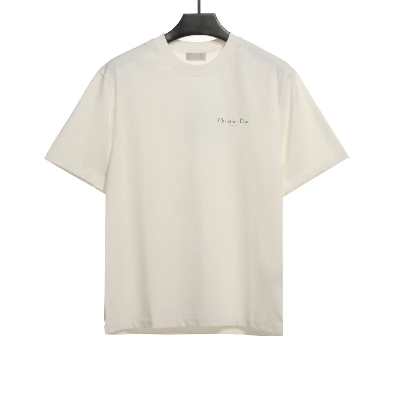 Dior Huang Zitao's same style destroyed signature logo T-Shirts 2