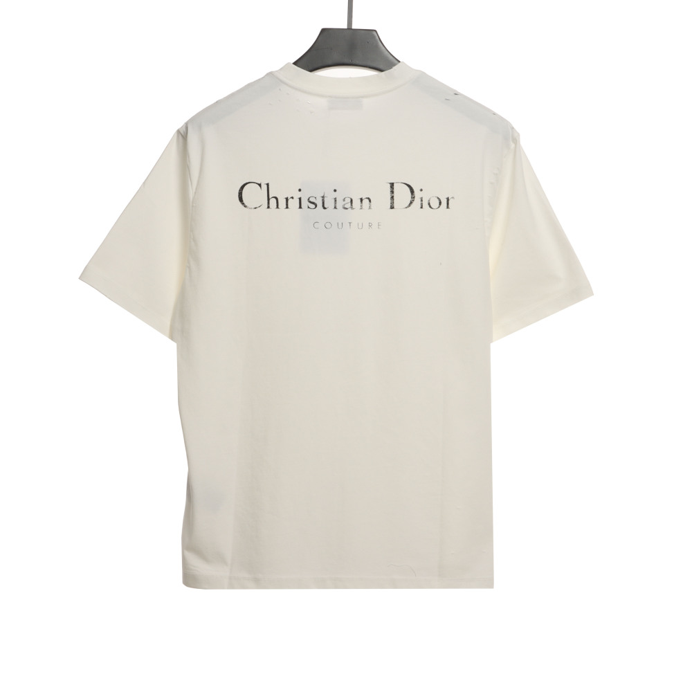 Dior Huang Zitao's same style destroyed signature logo T-Shirts 2