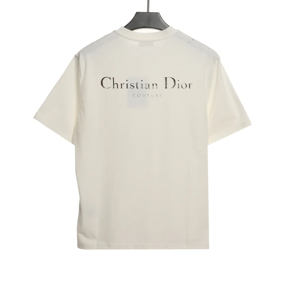 Dior Huang Zitao's same style destroyed signature logo T-Shirts 2