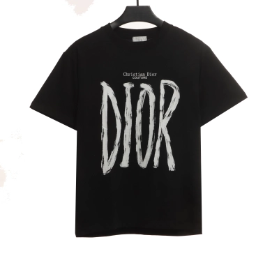 Dior large letter printed logo hand-painted T-Shirts 2 01