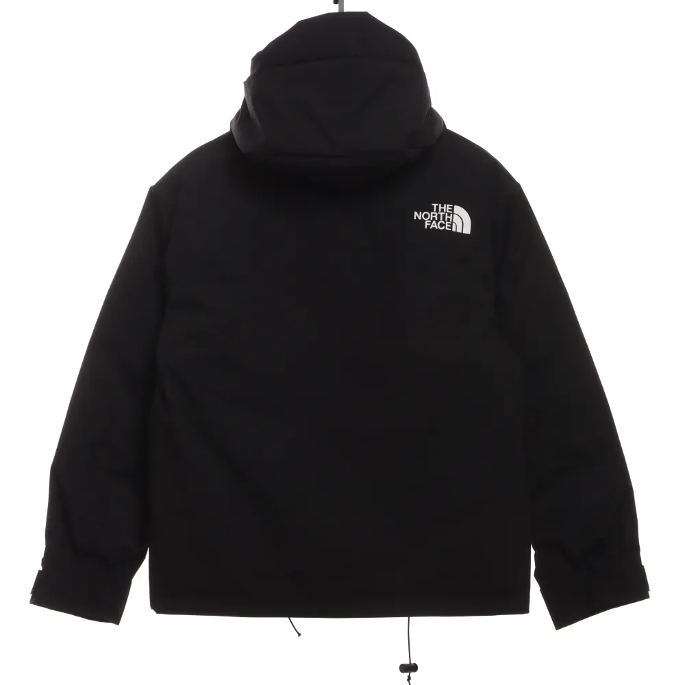 The North Face 1986 classic thin Down Jacket 1901