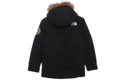 The North Face Japan Limited GORE-TEX polar Down Jacket 02