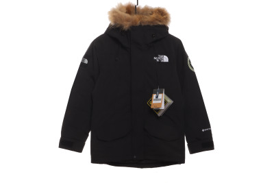 The North Face Japan Limited GORE-TEX polar Down Jacket 01