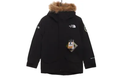 The North Face Japan Limited GORE-TEX polar Down Jacket 01