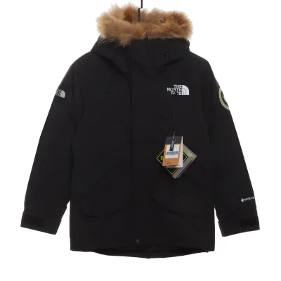 The North Face Japan Limited GORE-TEX polar Down Jacket 01
