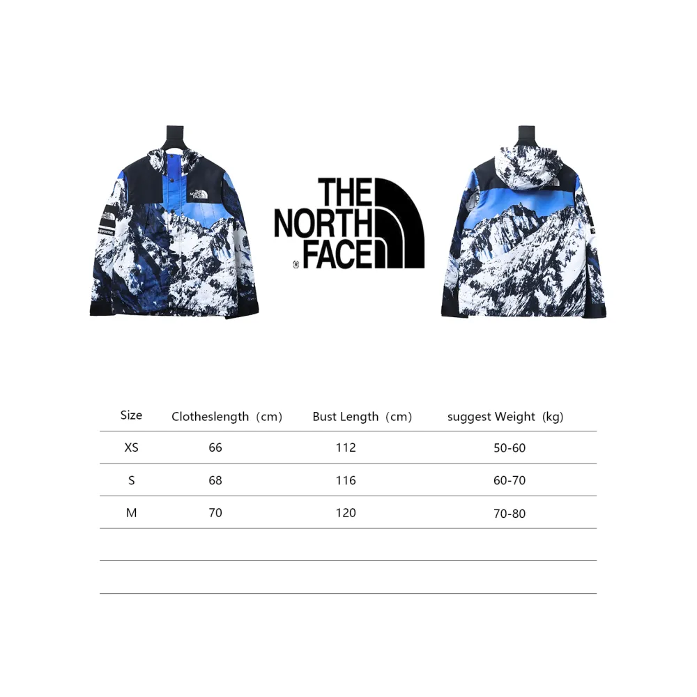 Supreme X TheNorthFace Joint Snow Mountain Windbreaker Jacket