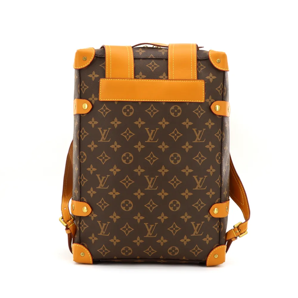 l**is V*t*n monogram backpack, brown bag 2
