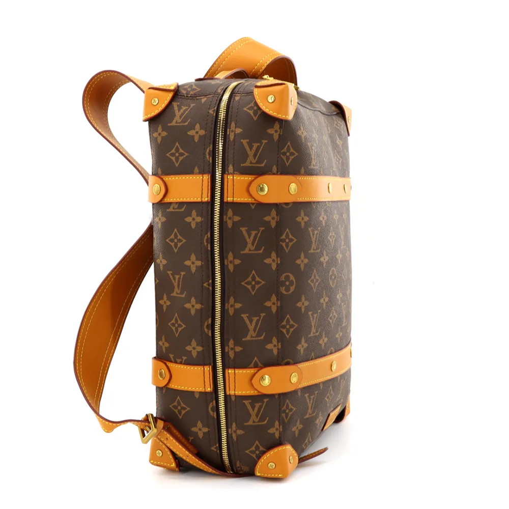 l**is V*t*n monogram backpack, brown bag 2