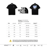 The North Face snow mountain peak print short sleeves black T-Shirts