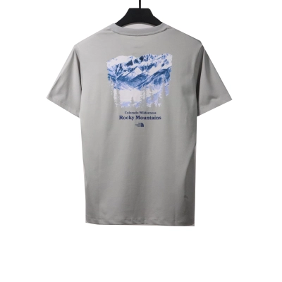 The North Face snow mountain peak print short sleeves gray-brown T-Shirts 02