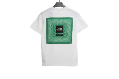 The North Face back cashew flower patch short sleeve 1902 T-Shirts 02