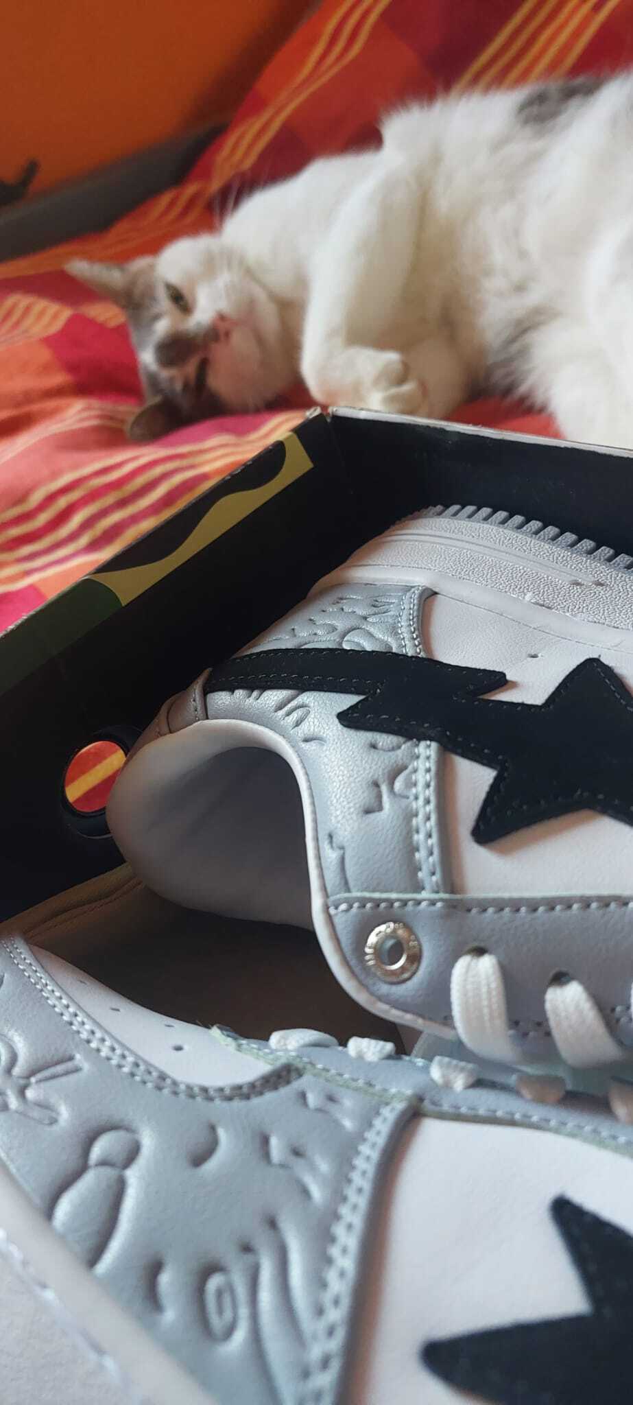 OG A Bathing Ape Bape Sta Low White Grey, 1H70-191-002 review Alexander Niskowski 01