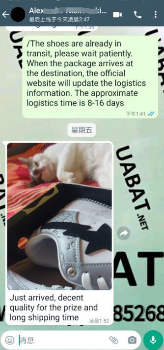 OG A Bathing Ape Bape Sta Low White Grey, 1H70-191-002 review Alexander Niskowski 02