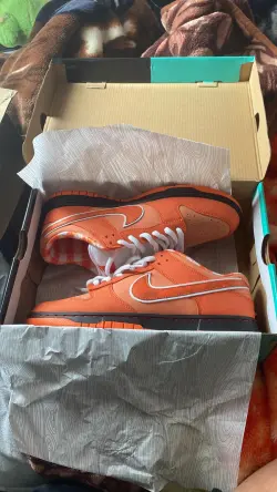 OG SB Dunk Low Concepts Orange Lobster,  FD8776-800   review uabat review 02