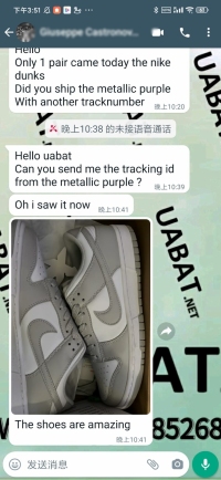 OG Dunk Low Grey, DD1391-103 review 1