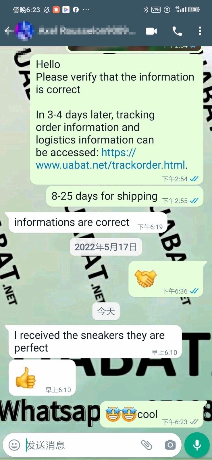 Uabat SB Dunk Low Mummy, DM0774-111 review uabat reviews