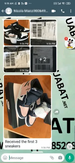 OG Jordan 1 Retro High Rust Pink, 861428-101 review uabat reviews  02