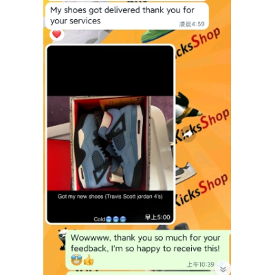  Jordan 4 Retro Travis Scott Cactus Jack,308497-406 02