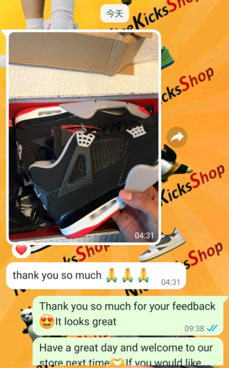 Jordan 4 Retro Bred review