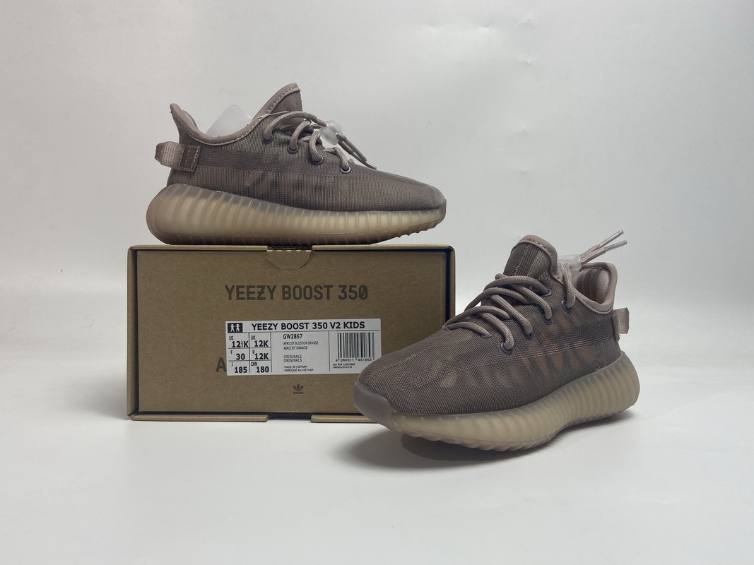  GET Yeezy Boost 350 V2 Mono Mist,GW2867 KIDS