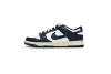 GET Dunk SB Navy Blue And White DD1503-115