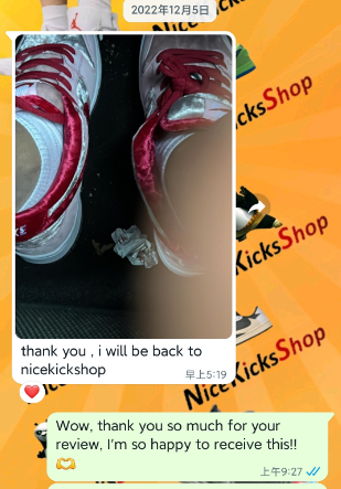 Perfectkicks Dunk SB Low StrangeLove Skateboards (Regular Box), CT2552-800