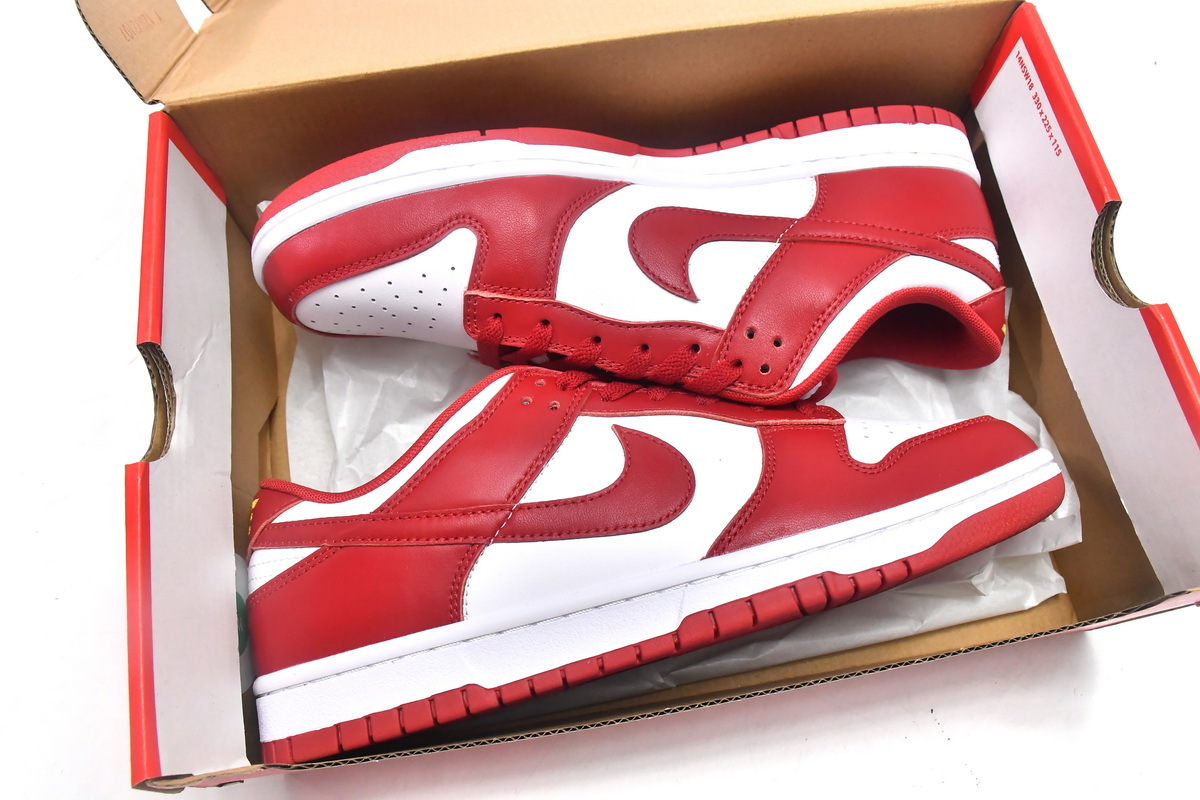  Perfectkicks Dunk Low Gym Red, DD1391-602
