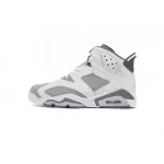 Perfectkicks Jordan 6 Retro Cool Grey (GS),384665-100