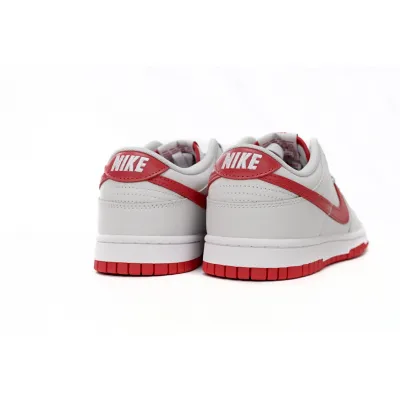  Perfectkicks Dunk Low Vast Grey Varsity Red, FJ0832-011 02
