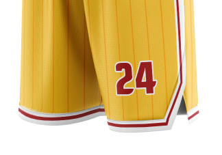  Custom Basketball Jerseys (Free Shipping),BC-MS-039