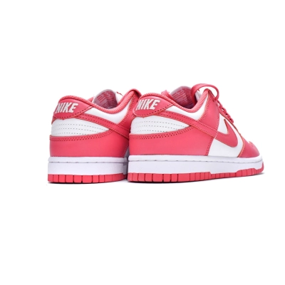  Perfectkicks Dunk Low Archeo Pink,DD1503-111  02