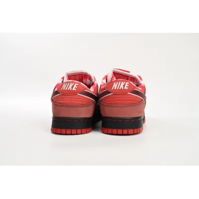 Perfectkicks Dunk SB Low Concepts Red Lobster,313170-661  02