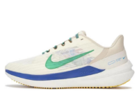  GET Winflo 9 White Green Blue, DV8997-100