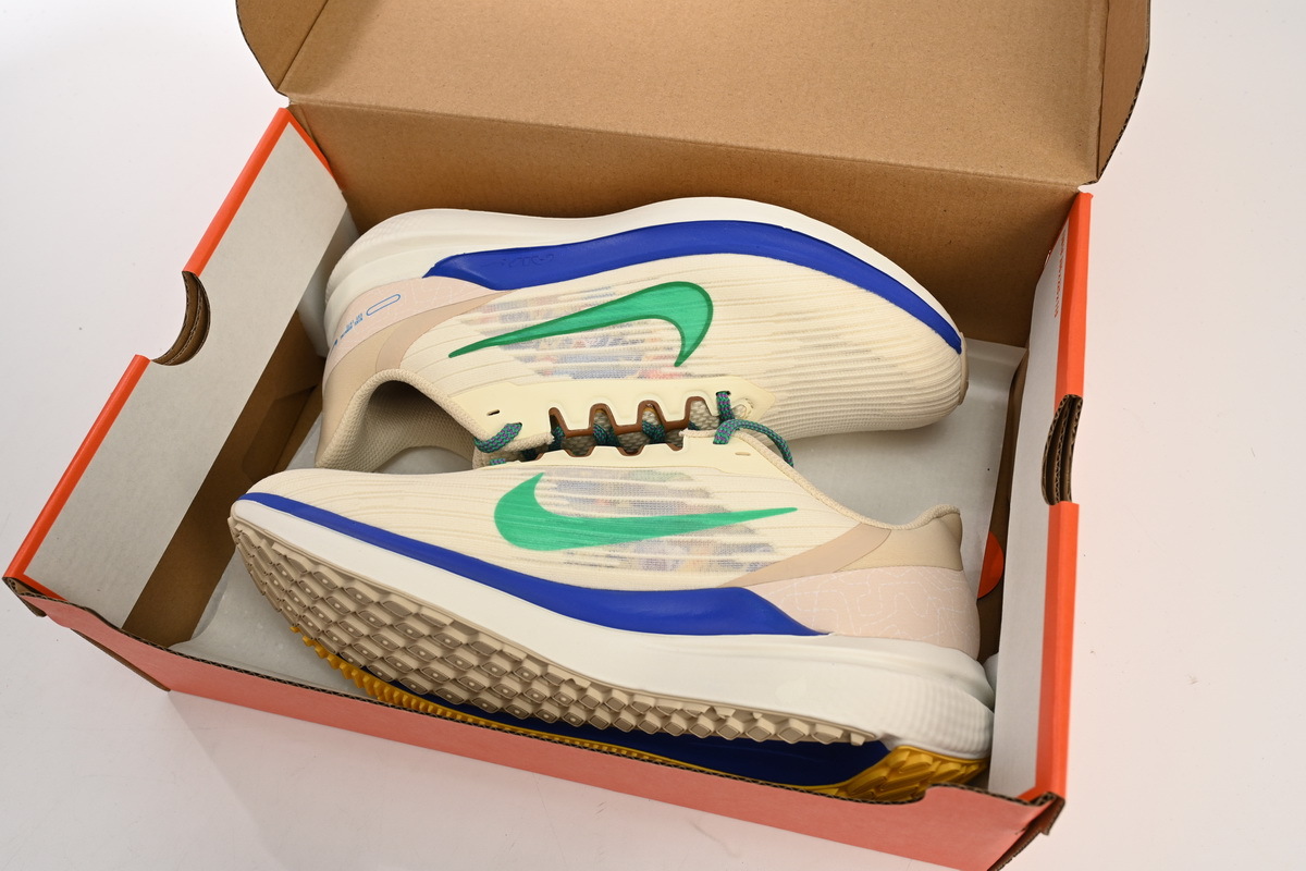  GET Winflo 9 White Green Blue, DV8997-100