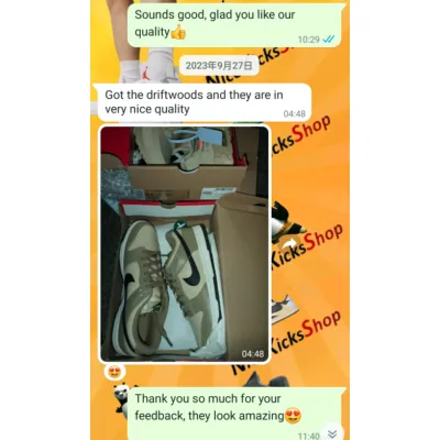  Perfectkicks Dunk Low Dark Driftwood (W), DD1503-200 02