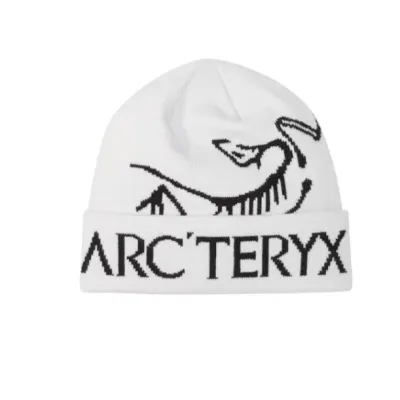 Arc'teryx Bird Word Toque Beanie (FW25) 01