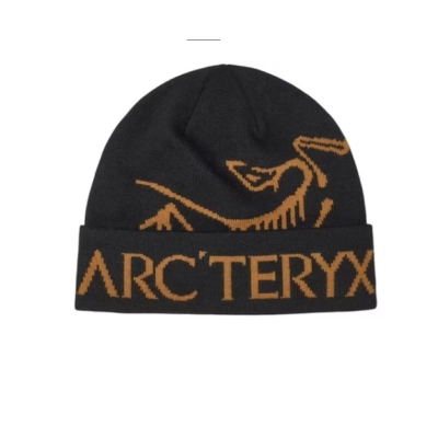 Arc'teryx Bird Word Toque Beanie (FW25) 02