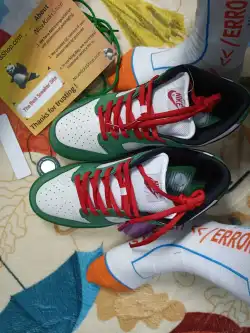  Perfectkicks SB Dunk Low Heineken,304292-302 review Fabian G 02