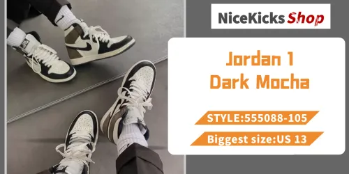 Perfectkicks Jordan 1 Retro High Dark Mocha,555088-105