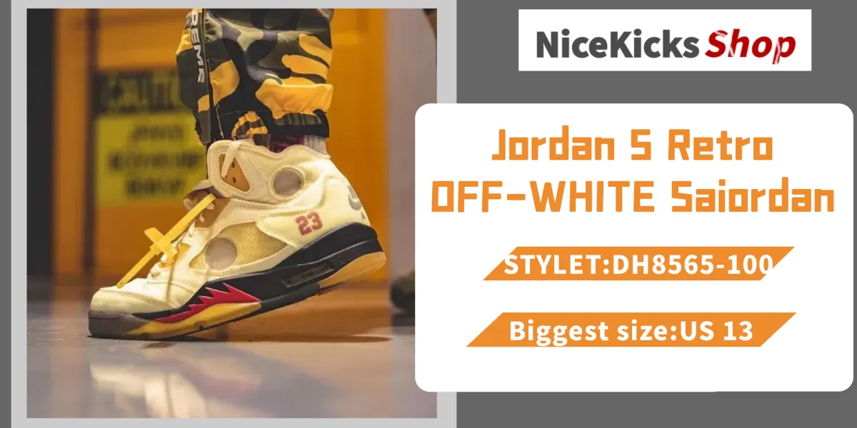 Perfectkicks Jordan 5 Retro OFF-WHITE Sail,DH8565-100