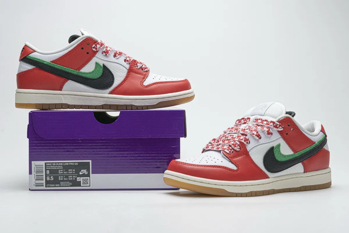 Official LoOfficial Look at the Frame Skate x Nike SB Dunk Low 