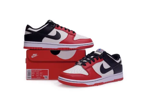 Dunk SB EMB NBA 75th Anniversary Chicago