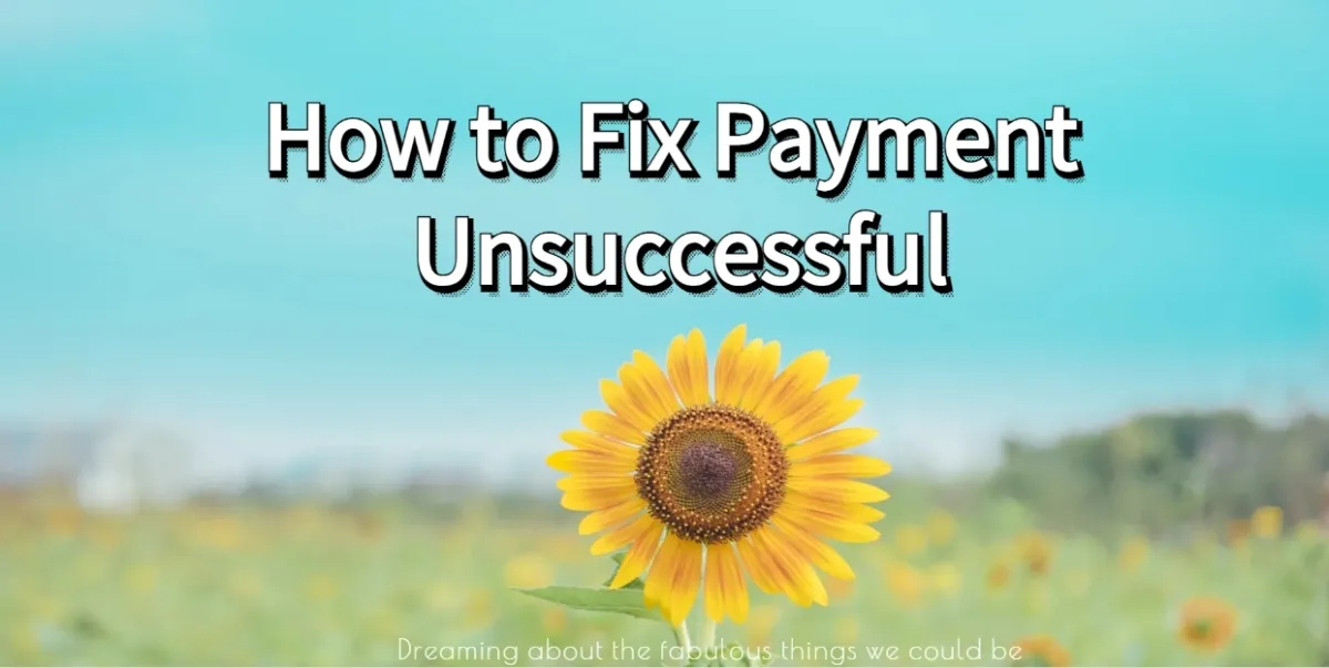 How to Fix Payment unsuccessful