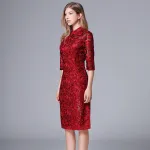 Stand Collar Solid Color Lace Dress 14-14190