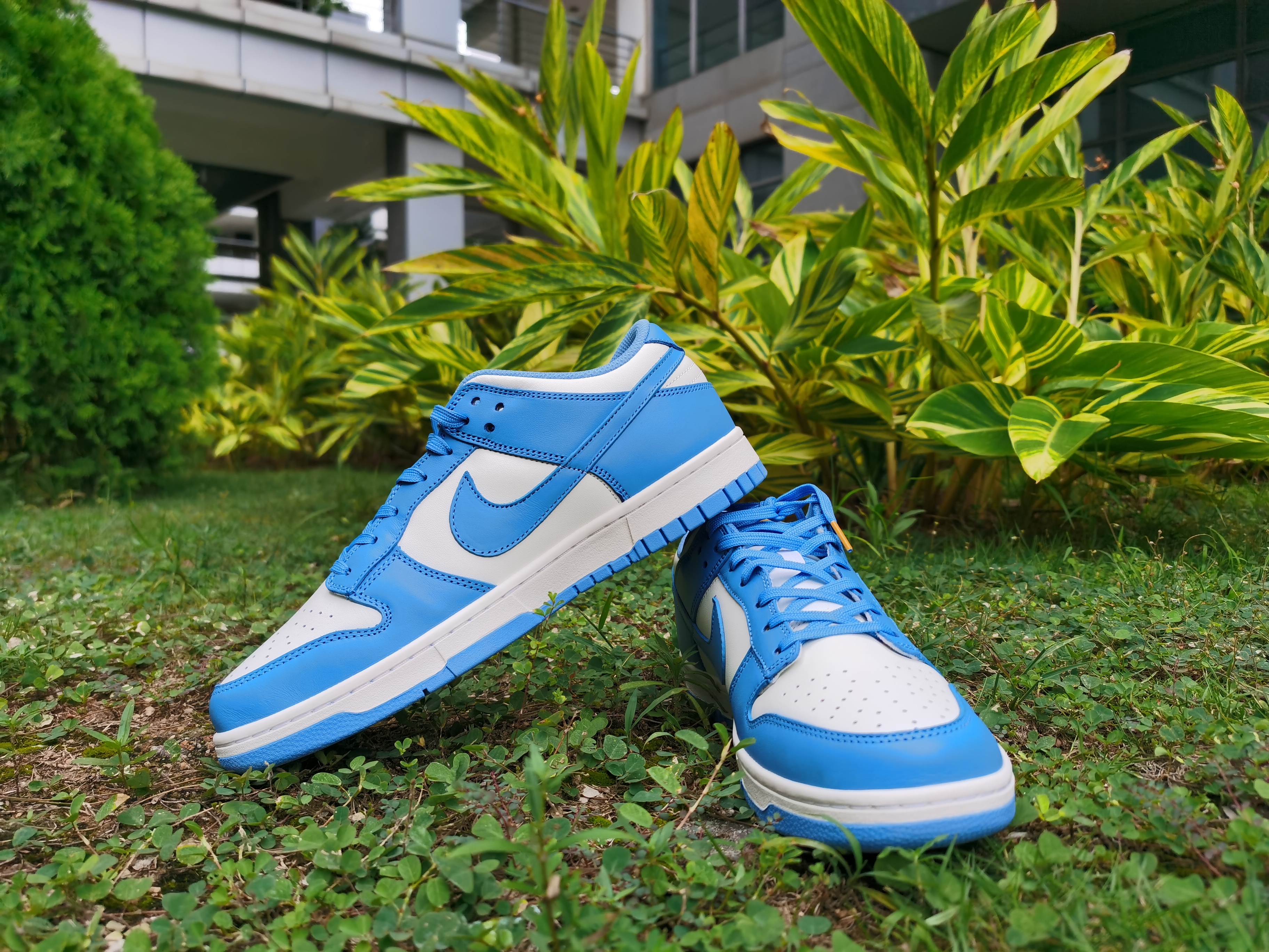 Nike Dunk Low SP White Blue DD1391-400