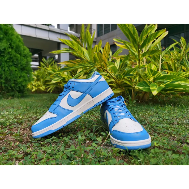 Nike Dunk Low SP White Blue DD1391-400