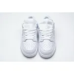 Nike SB Dunk Low Pro All White