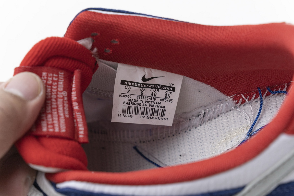 Nike Dunk SB Low Ishod Wair 