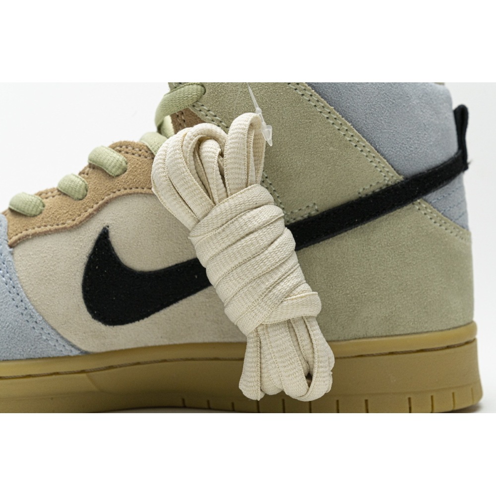 Nike SB Dunk High Spectrum