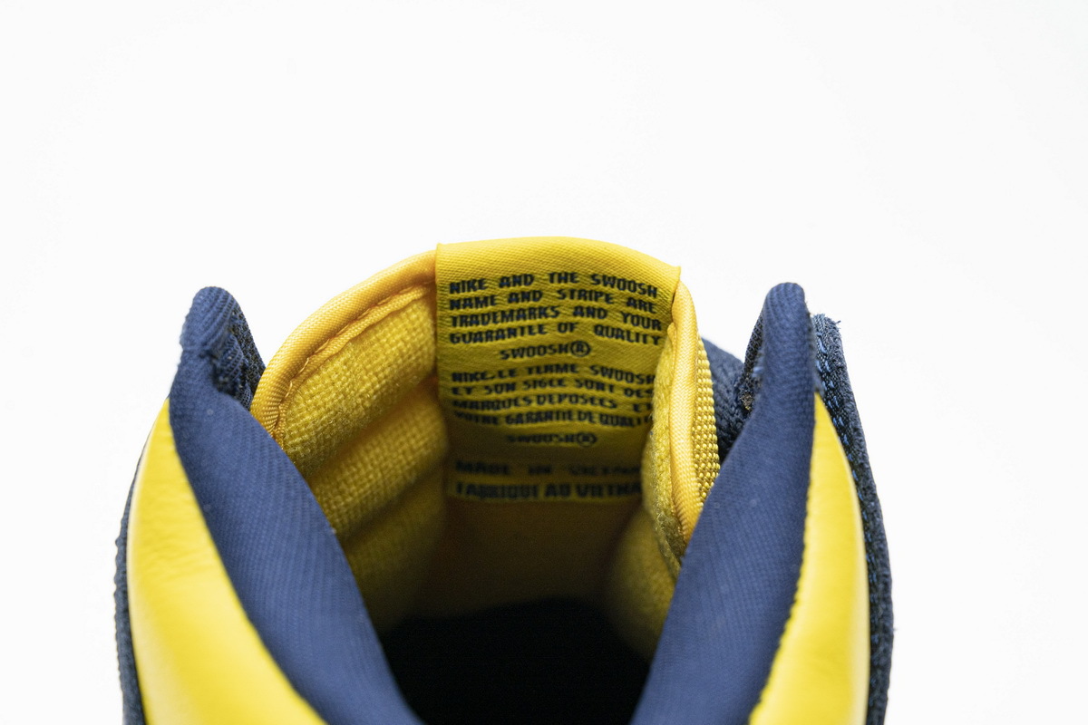 Nike Dunk High Michigan (2020)